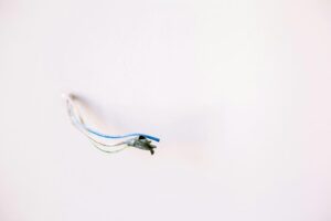 auto glass repair services
