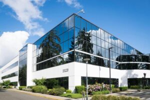 windshield repair and replacement